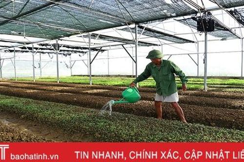 Hà Tĩnh hướng tới vụ đông thắng lợi