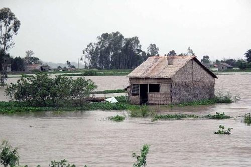 Mưa lớn ở khu vực Bắc Bộ, cảnh báo lũ trên các sông, nguy cơ lũ quét