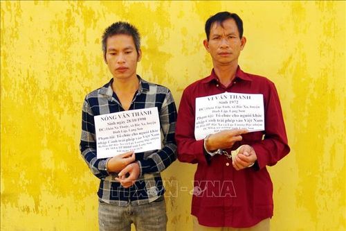 Triệt phá 2 đường dây đưa người Trung Quốc nhập cảnh trái phép vào Việt Nam