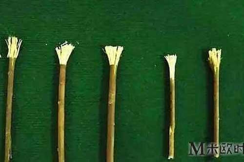 Khi chưa có bàn chải và kem đánh răng, người Trung Hoa xưa phải làm sao để vệ sinh răng miệng?
