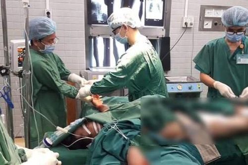 TPHCM: Thanh niên bị cây đổ đè trên đường đã tử vong