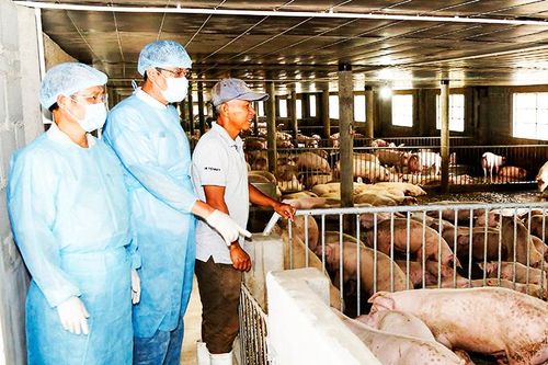Bộ Nông nghiệp và Phát triển nông thôn làm việc tại Khánh Hòa