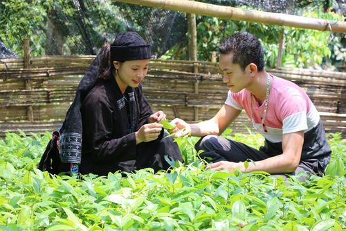 Bài cuối: 'Ươm những mầm xanh' ơn Đảng