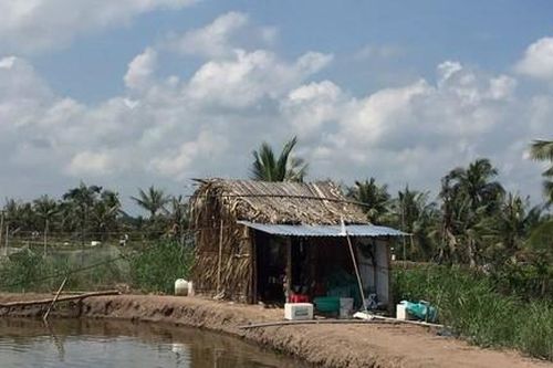 Phát hiện 3 người tử vong trong chòi tôm cùng thư tuyệt mệnh