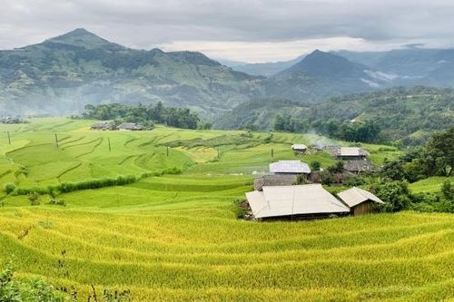 Mê mải mùa vàng ở bờ Tây Hà Giang