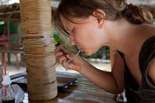 Ăn sống sâu gỗ ở Philippines