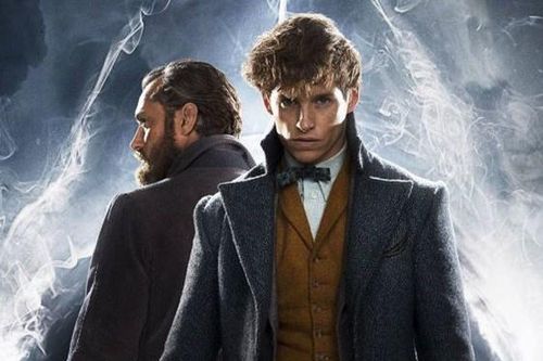 Loạt phim ngoại truyện 'Harry Potter' sẽ đi về đâu?