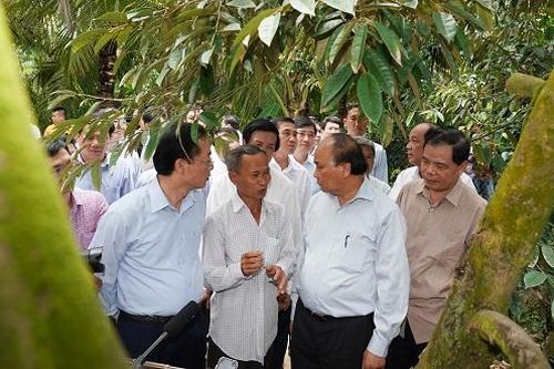 Nghĩ về giải pháp 'thuận thiên'