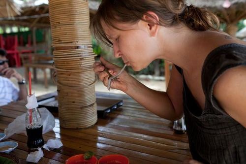 Du khách bắt sâu dài nửa mét lúc nhúc trong gỗ rồi cho ngay miệng thưởng thức