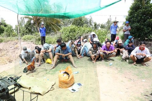 Sóc Trăng: Bắt quả tang 22 đối tượng đá gà ăn tiền