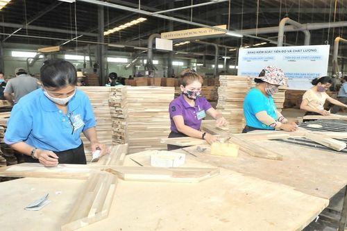Đầu tháng 12, Thủ tướng sẽ chủ trì hội nghị thúc đẩy phát triển bền vững ngành công nghiệp chế biến, xuất khẩu gỗ