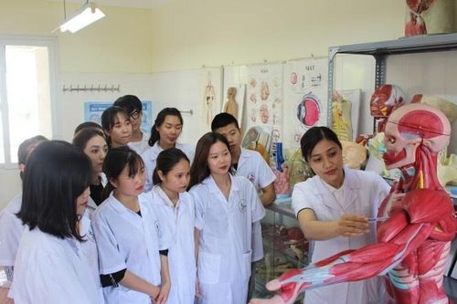 Môi trường đào tạo uy tín và sức hút ngành Y Dược