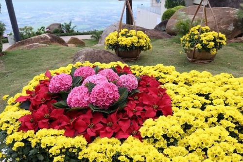 Về đất thánh Tây Ninh trải nghiệm đêm hội trăng rằm đầy ý nghĩa