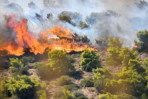 Hy Lạp: Cháy rừng lớn ở chân núi Imitos, ngoại ô thủ đô Athens