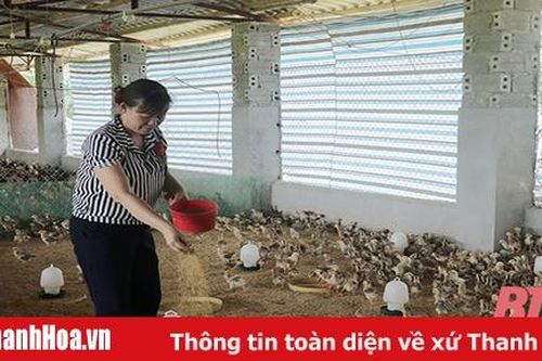 Xã Cẩm Tâm phát triển sản xuất, nâng cao thu nhập cho người dân