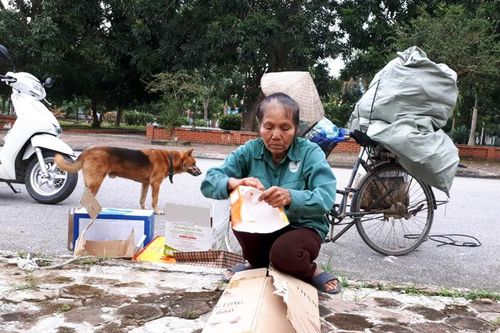 Mưu sinh nhờ... phế liệu