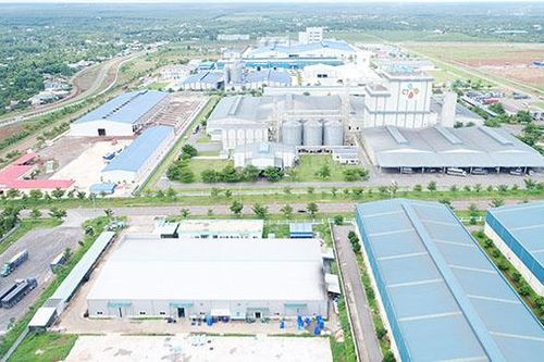 Tổng giám đốc Tổng công ty Cao su Đồng Nai Đỗ Minh Tuấn: Chuyển hướng để ngành Cao su phát triển bền vững