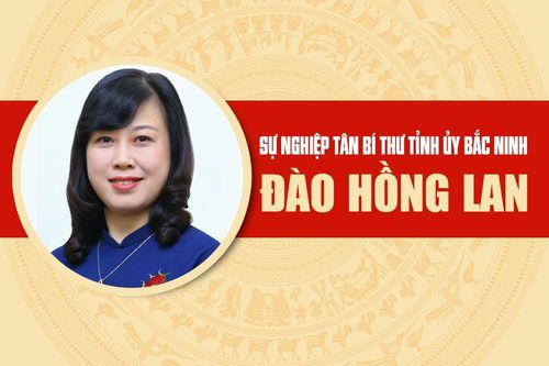 Infographic: Sự nghiệp tân Bí thư Tỉnh ủy Bắc Ninh Đào Hồng Lan