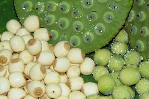 Cải thiện chất lượng giấc ngủ bằng thực phẩm