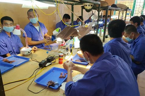 Nhịp cầu kết nối niềm tin