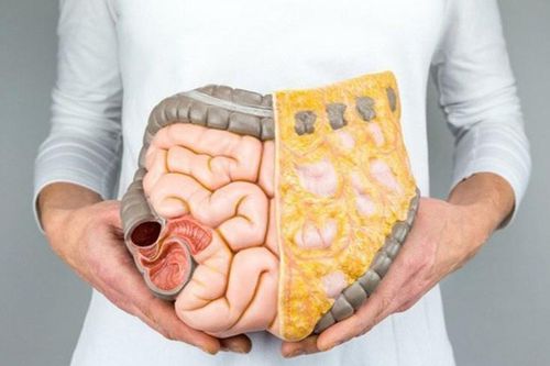 Người béo bụng có nguy cơ tử vong sớm
