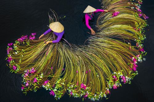Cảnh Việt Nam vào top cuộc thi ảnh trên cao