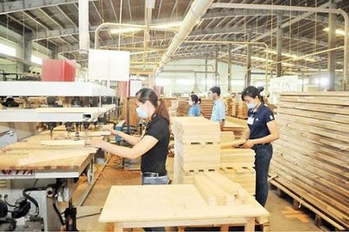 Dịch bệnh bủa vây các thị trường nhưng ngành gỗ xuất khẩu vẫn đạt gần 9 tỷ USD