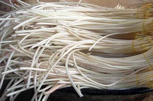 Ngó sen và những công dụng tuyệt vời cho sức khỏe