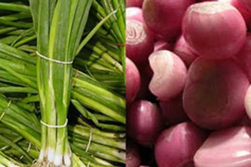 Khỏi bệnh tiểu đường, cao huyết áp với bó 'thảo dược' rẻ tiền bếp nhà ai cũng có