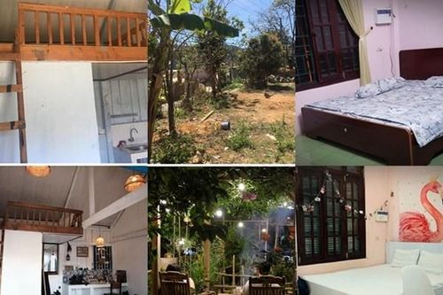 DIY - 'Điểm sáng' bán lẻ khi người dân đổ tiền chăm chút tổ ấm