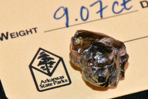 Vô tình nhặt được kim cương 9 carat khi đi dạo công viên
