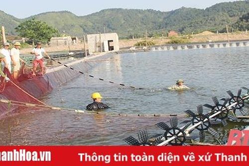 Đảng bộ xã Hòa Lộc nâng cao chất lượng sinh hoạt chi bộ
