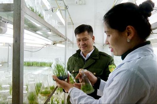 Nhiều giải pháp bảo tồn đa dạng sinh học