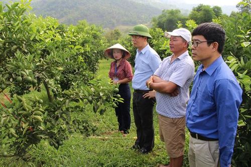 Đảng bộ huyện Văn Bàn: Tập trung lãnh đạo đưa nghị quyết vào cuộc sống