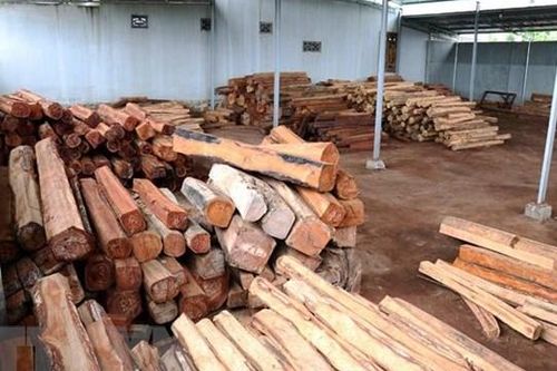 Gia Lai: Bắt giam đối tượng bán gỗ lậu cho doanh nghiệp