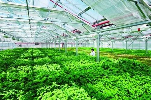 TP Hồ Chí Minh đầu tư nông nghiệp công nghệ cao