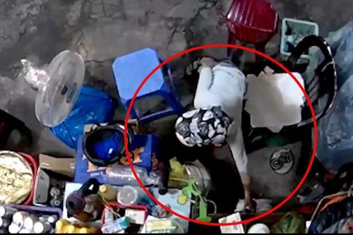 Bé trai trộm túi tiền của bà bán nước