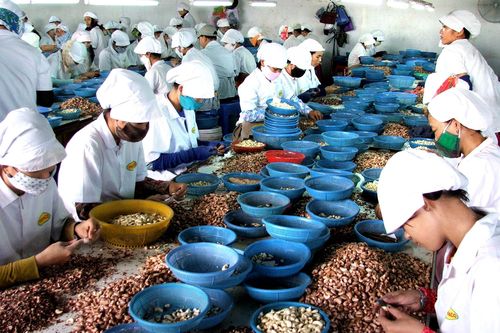 8 doanh nghiệp vì người lao động được nhận Bằng khen của Thủ tướng Chính phủ