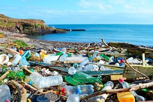 Nhiều nhà lãnh đạo cam kết ngăn chặn mất đa dạng sinh học của Trái đất