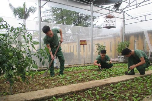 Đẩy mạnh tăng gia sản xuất phù hợp với điều kiện thực tế
