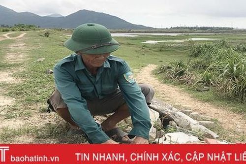 Đê lở, uy hiếp cả trăm héc-ta nuôi trồng thủy hải sản và hoa màu ở TX Kỳ Anh