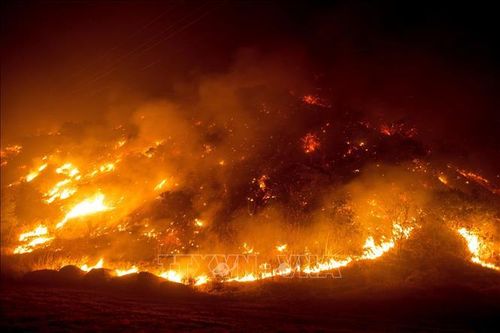 Cháy rừng tiếp tục hoành hành tại bang California, Mỹ