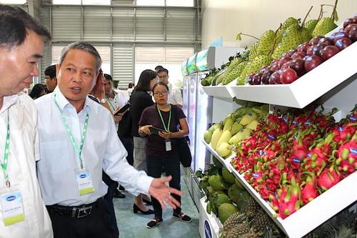 Để trái cây Việt 'rộng đường' xuất khẩu sang thị trường Mỹ