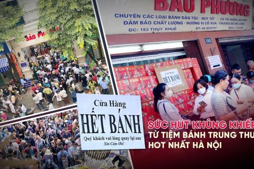 Sức hút khủng khiếp từ tiệm bánh trung thu hot nhất Hà Nội: Khách thưởng thức thoải mái nhưng mua phải xếp hàng cả tiếng, cửa hàng liên tục treo biển 'hết bánh'