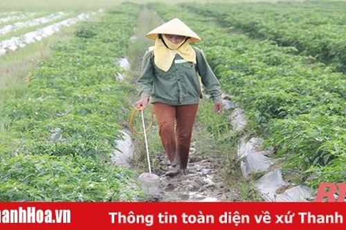 Mưu sinh bằng nghề độc hại