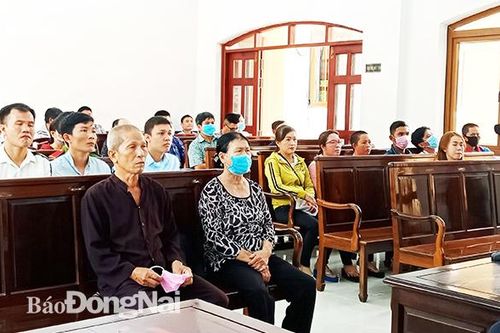 Vụ tranh chấp hợp đồng thuê khoán vườn ươm: Nguyên đơn được bồi thường 1,2 tỷ đồng