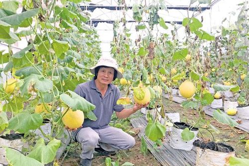 Kỳ 1: Hướng đến nền nông nghiệp công nghệ cao