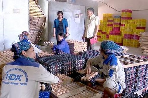 Phù Ninh: Sớm đưa nghị quyết Đảng vào cuộc sống