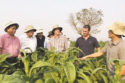 Công ty Cổ phần Hòa Việt: Đồng bộ các hoạt động về bảo vệ môi trường