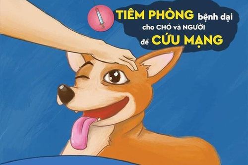 Đẩy mạnh hợp tác và tiêm vắc xin để chấm dứt bệnh dại